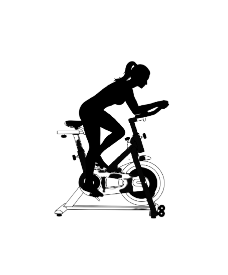 Spinning Bike